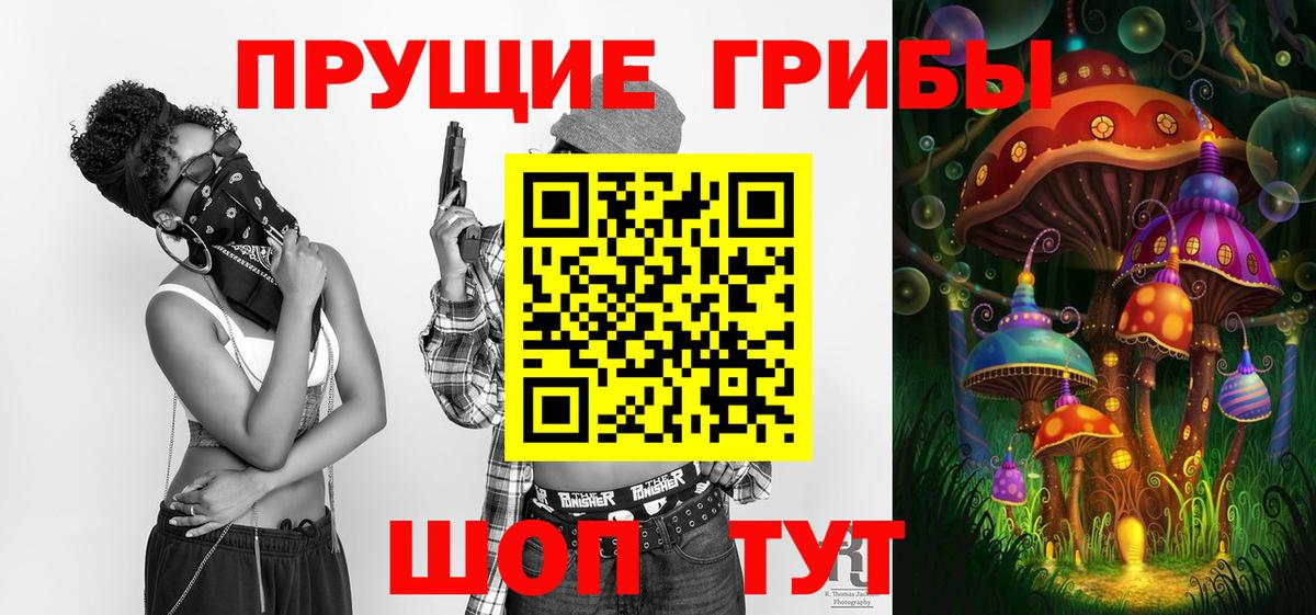 Алейск  Галлюциногенные грибы Cubensis  Вход с VPN 
